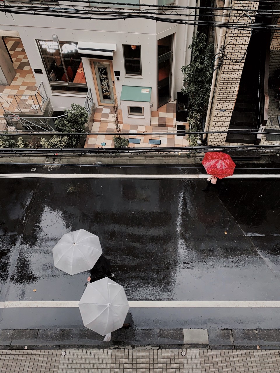 2019.3  photo by iPhone